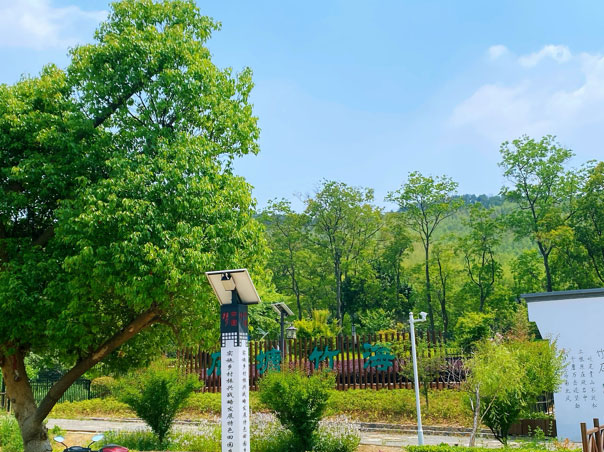 领航国际团建|不忘初心,担当有为,共创美好未来! 领航国际团建|不忘初心,担当有为,共创美好未来!