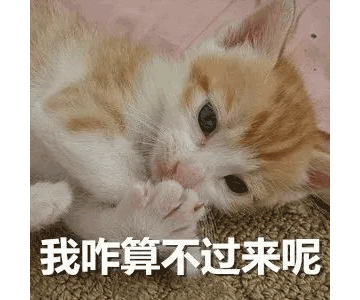 别等618了,本周末就能锁定装修优惠! 别等618了,本周末就能锁定装修优惠!