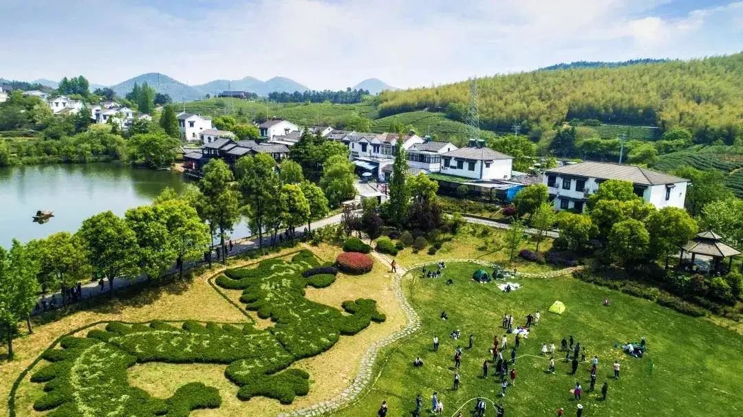 领航国际团建 | 黄龙岘茶文化村之旅