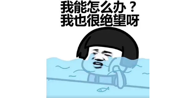 领航国际|25周年庆优惠名额已经不多了,抓住机会哦! 领航国际|25周年庆优惠名额已经不多了,抓住机会哦!