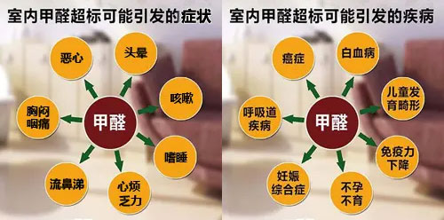 担心家里甲醛超标,教您一招,安安心心住新家! 担心家里甲醛超标,教您一招,安安心心住新家!