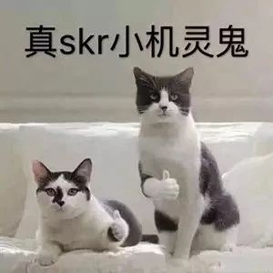 春节发红包 | 体验领航国际“数字家装” 春节发红包 | 体验领航国际“数字家装”