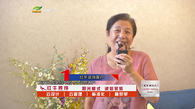 领航国际 c3264