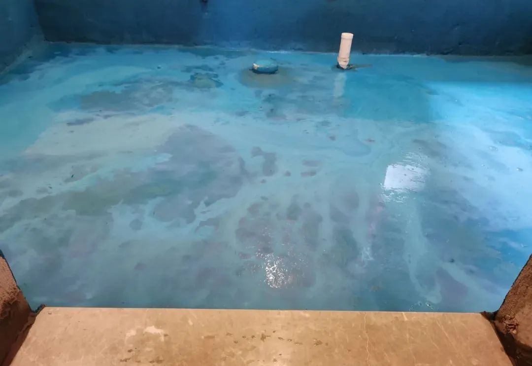 工地突击巡检|没想到,这家工地竟治愈了我的“强迫症” 工地突击巡检|没想到,这家工地竟治愈了我的“强迫症”