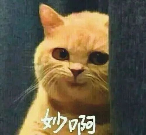 春节发红包 | 体验领航国际“数字家装” 春节发红包 | 体验领航国际“数字家装”